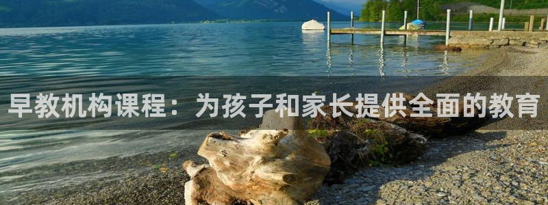威九国际官方入口官网：早教机构课程：为孩子和家长提供全面的教育