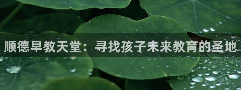 威九国际app入口官网：顺德早教天堂：寻找孩子未来教育的圣地
