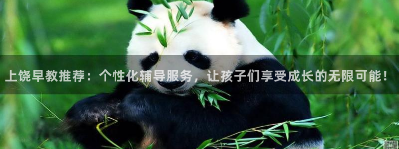 威九国际父亲的友人：上饶早教推荐：个性化辅导服务，让孩子们享受成长的无限可能！