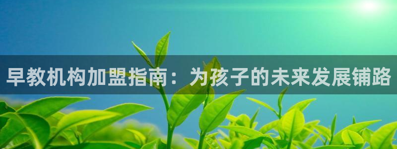 威九国际app：早教机构加盟指南：为孩子的未来发展铺路