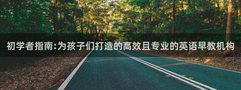 威九国际ppt免费：初学者指南:为孩子们打造的高效且专业的英语早教机构