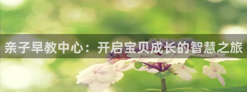 威九国际官网登录入口网址：亲子早教中心：开启宝贝成长的智慧之旅