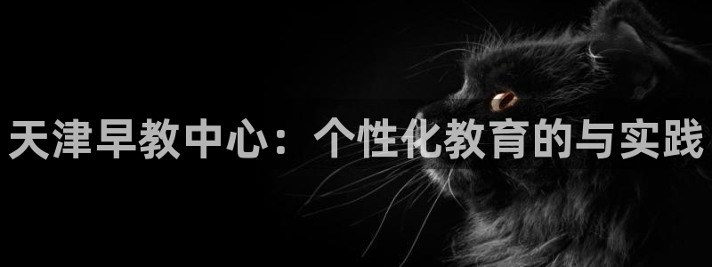 威九国际视频传媒招聘：天津早教中心：个性化教育的与实践