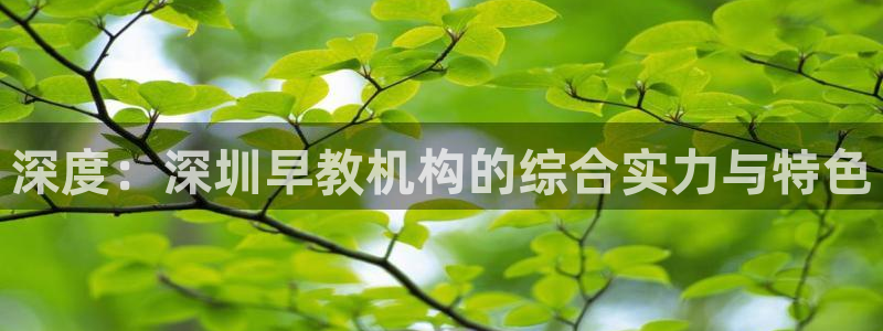 威九国际网站入口官网免费：深度：深圳早教机构的综合实力与特色