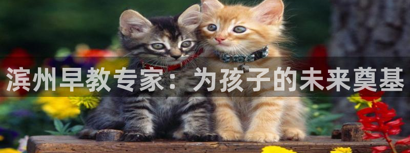 威九国际游戏网站：滨州早教专家：为孩子的未来奠基