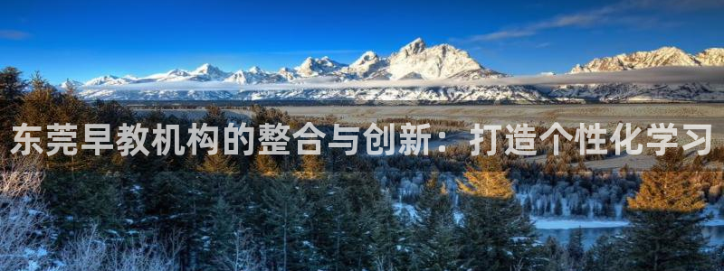威九国际66m官网版：东莞早教机构的整合与创新：打造个性化学习