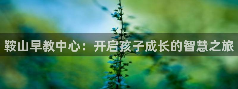 威九国际可以提现吗安全吗：鞍山早教中心：开启孩子成长的智慧之旅