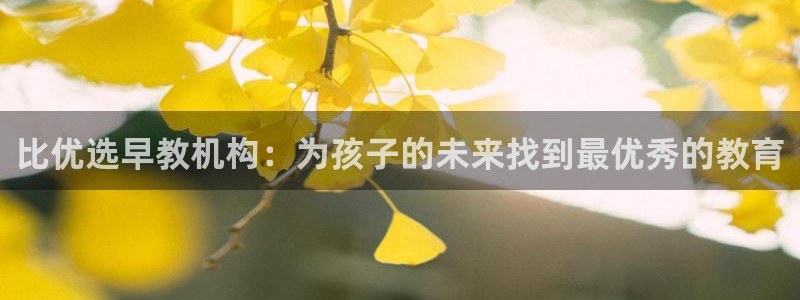 威九国际66mm66：比优选早教机构：为孩子的未来找到最优秀的教育
