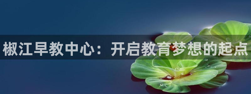 威九国际H：椒江早教中心：开启教育梦想的起点