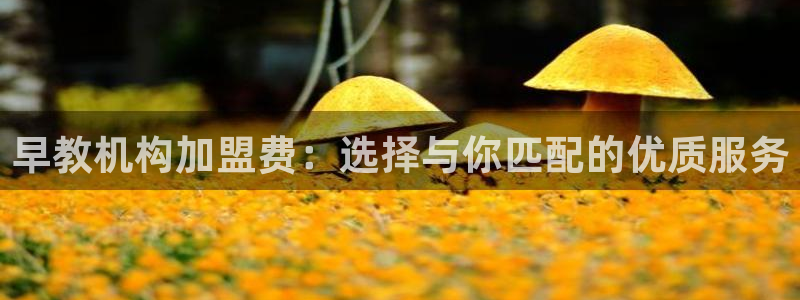 78mapp威九国际网：早教机构加盟费：选择与你匹配的优质服务