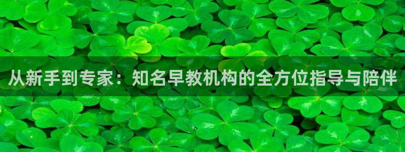 威九国际网站：从新手到专家：知名早教机构的全方位指导与陪伴