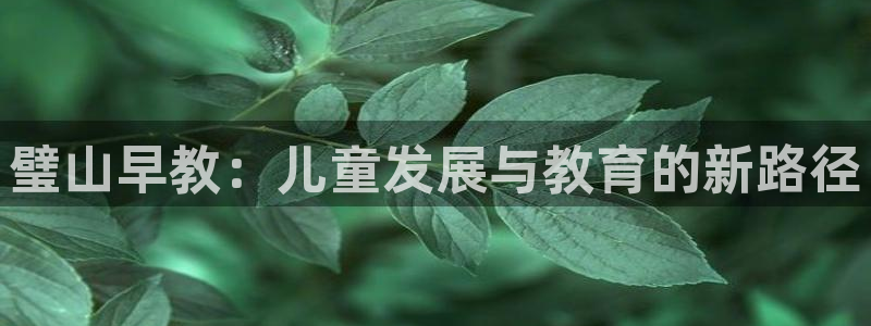 威九国际78mB：璧山早教：儿童发展与教育的新路径