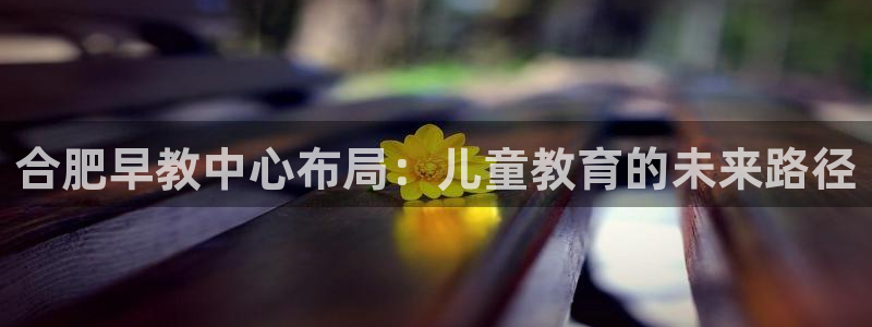78mapp威九国际媒体：合肥早教中心布局：儿童教育的未来路径