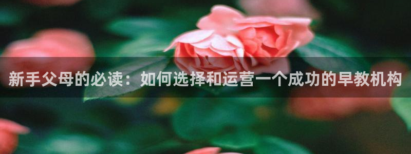 威九国际安全吗的认证团队：新手父母的必读：如何选择和运营一个成功的早教机构