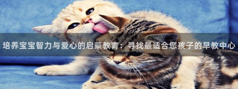 威九国际app客服电话多少：培养宝宝智力与爱心的启蒙教育：寻找最适合您孩子的早教