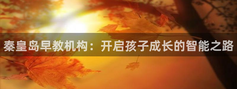 78m.ppt威九国际官网版：秦皇岛早教机构：开启孩子成长的智能之路