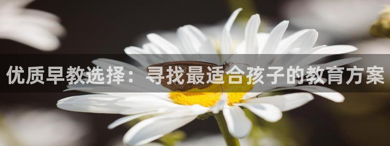 威九国际网站入口官网免费：优质早教选择：寻找最适合孩子的教育方案