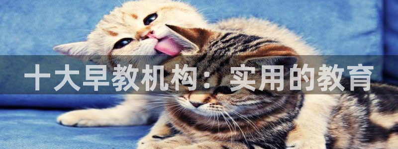威九国际78mb42：十大早教机构：实用的教育