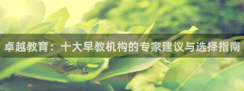 威九国际78M.APP：卓越教育：十大早教机构的专家建议与选择指南