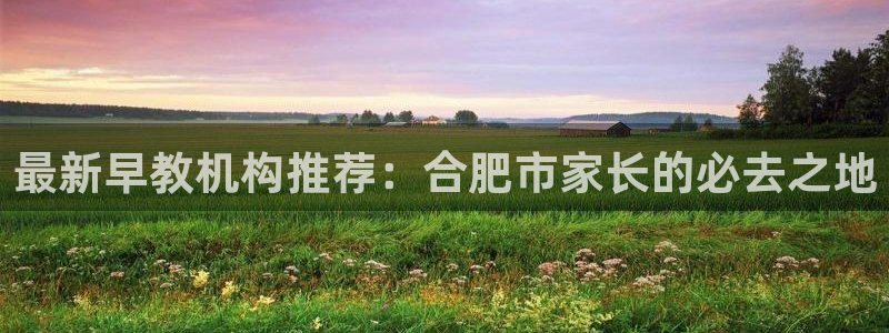 威九国际能提现吗安全吗：最新早教机构推荐：合肥市家长的必去之地