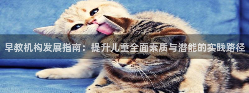 威九国际女：早教机构发展指南：提升儿童全面素质与潜能的实践路径