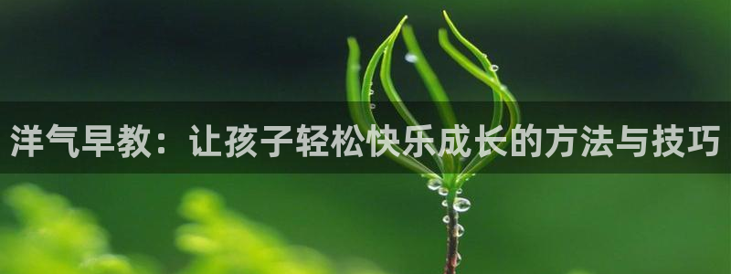 威九国际78mob网页：洋气早教：让孩子轻松快乐成长的方法与技巧