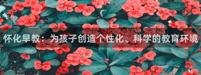 威九国际m78：怀化早教：为孩子创造个性化、科学的教育环境