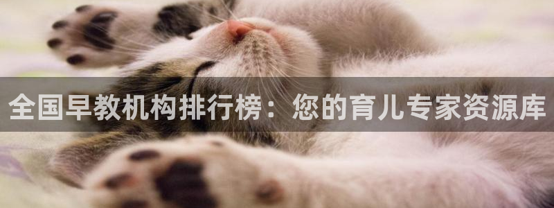 威九国际78cm：全国早教机构排行榜：您的育儿专家资源库