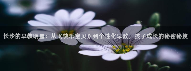 威九国际旗下艺人都有谁：长沙的早教明星：从《快乐宝贝》到个性化早教，孩子成长的秘
