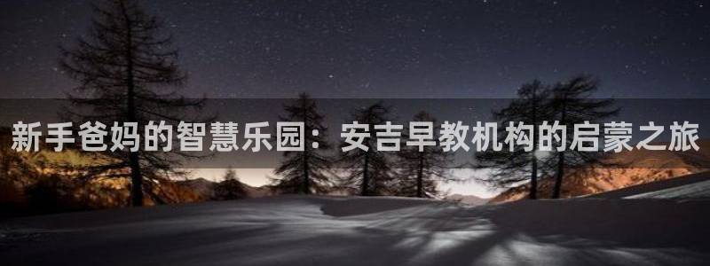 威九国际精选酒店电话：新手爸妈的智慧乐园：安吉早教机构的启蒙之旅