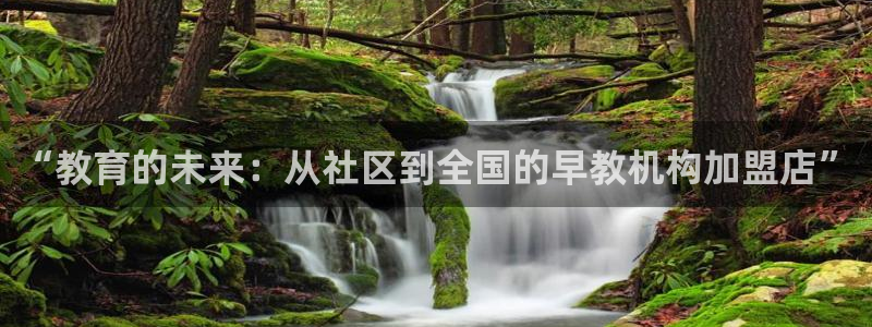 威九国际ppt官网：“教育的未来：从社区到全国的早教机构加盟店”