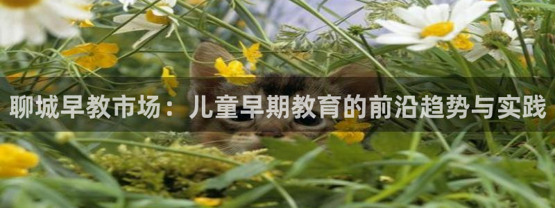 威九国际女星：聊城早教市场：儿童早期教育的前沿趋势与实践