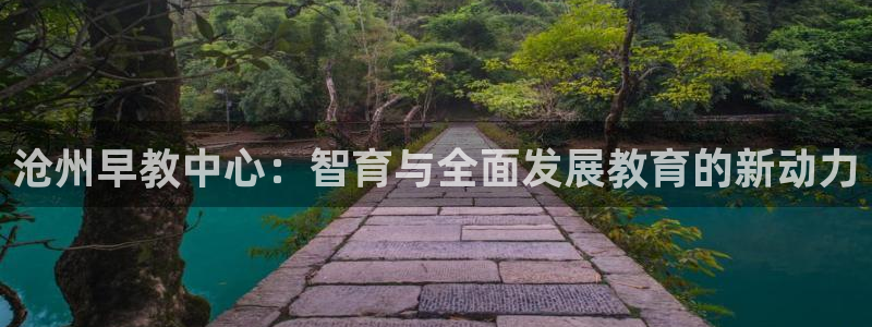 威九国际游戏app(网站)：沧州早教中心：智育与全面发展教育的新动力