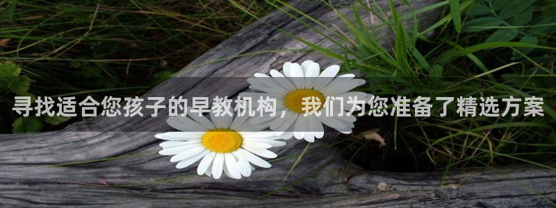 威九国际网站怎么样知乎：寻找适合您孩子的早教机构，我们为您准备了精选方案