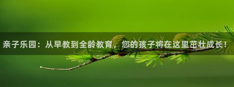 78mapp威九国际神曲口服液:亲子乐园:从早教到全龄教育,您的孩子将在这里茁壮