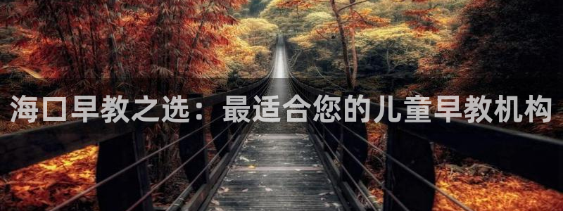 威九国际如何下载：海口早教之选：最适合您的儿童早教机构