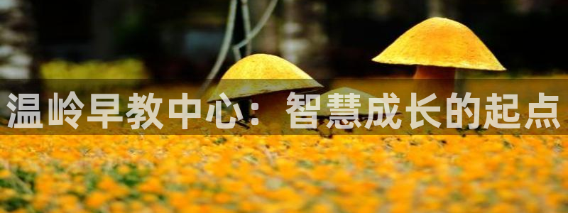 威九国际客服电话号码是多少：温岭早教中心：智慧成长的起点