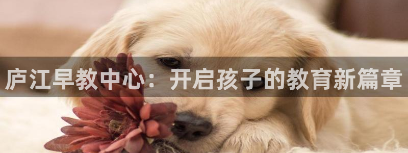威九国际66m66m电影：庐江早教中心：开启孩子的教育新篇章