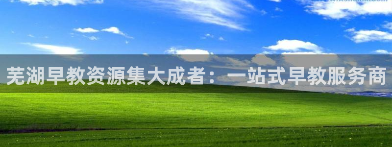 威九国际v8：芜湖早教资源集大成者：一站式早教服务商