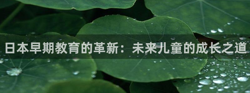 威九国际免费网络站：日本早期教育的革新：未来儿童的成长之道