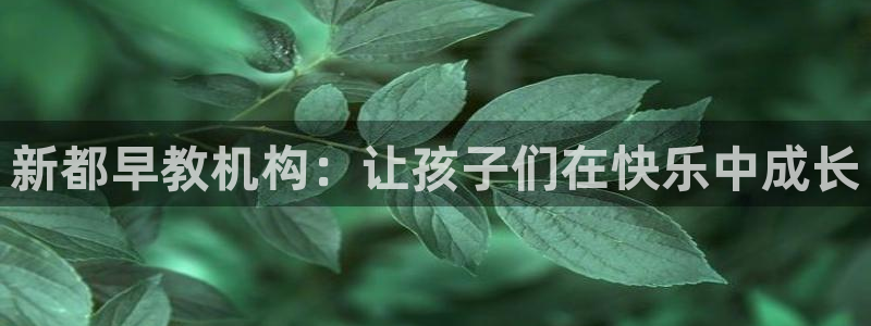 威九国际APP大全：新都早教机构：让孩子们在快乐中成长