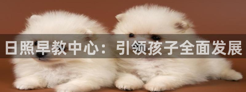 威九国际全国空降:日照早教中心:引领孩子全面发展