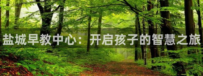 威九国际78mob游戏说明:盐城早教中心:开启孩子的智慧之旅