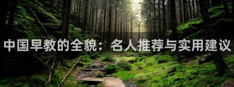 威九国际网站入口地址查询：中国早教的全貌：名人推荐与实用建议