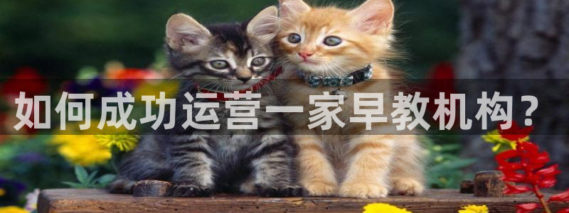 威九国际网站进入产品中心怎么进:如何成功运营一家早教机构?