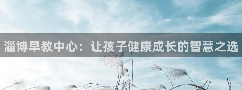 威九国际清砖码头在哪：淄博早教中心：让孩子健康成长的智慧之选