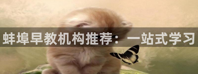 威九国际精选：蚌埠早教机构推荐：一站式学习