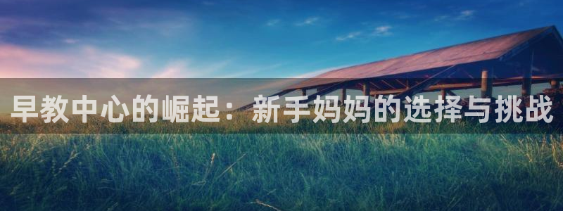威九国际78m域名：早教中心的崛起：新手妈妈的选择与挑战