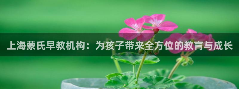 威九国际空降视频：上海蒙氏早教机构：为孩子带来全方位的教育与成长