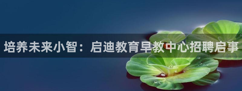 威九国际父亲的友人：培养未来小智：启迪教育早教中心招聘启事